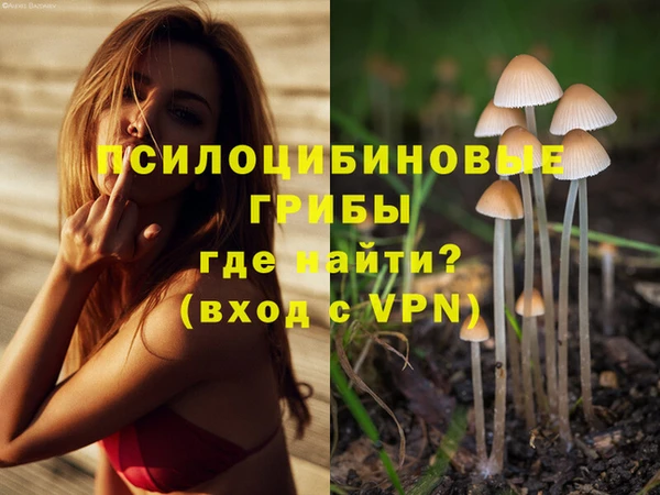 скорость Кизел