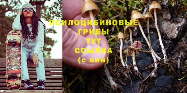 PSILOCYBIN Няндома