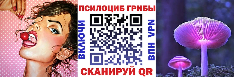 Псилоцибиновые грибы Psilocybe  Пустошка 